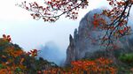 秋山红叶奇峰风光