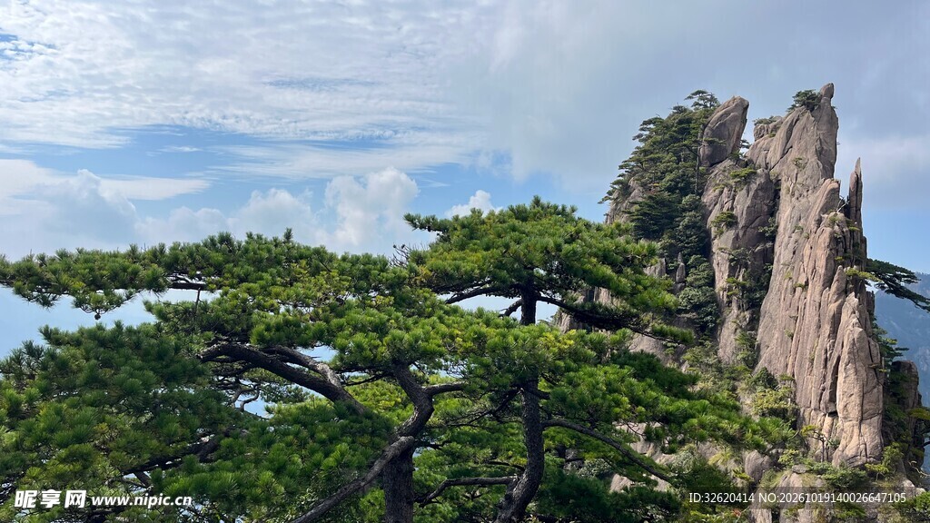 黄山奇松怪石风光