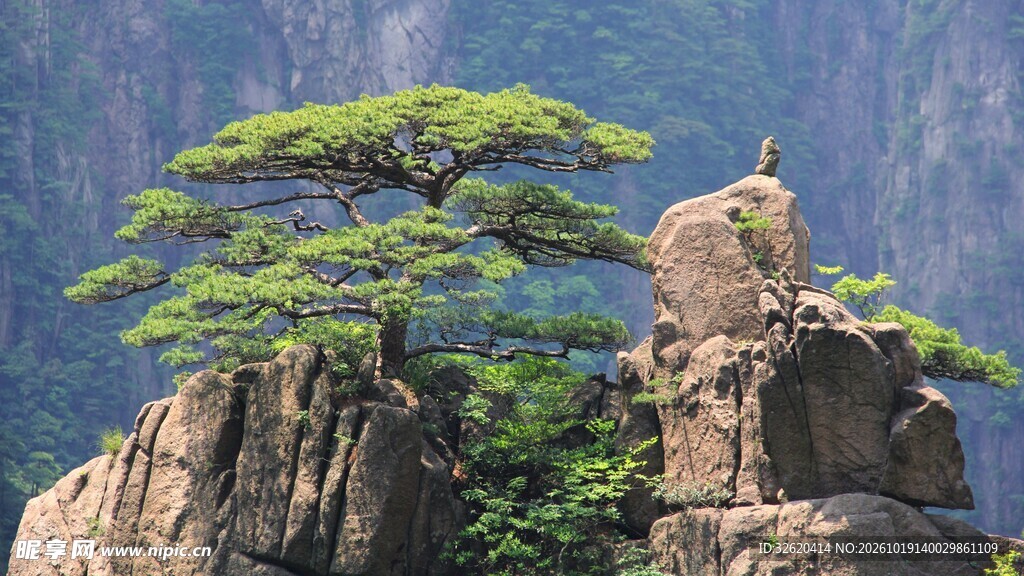 黄山迎客松风光