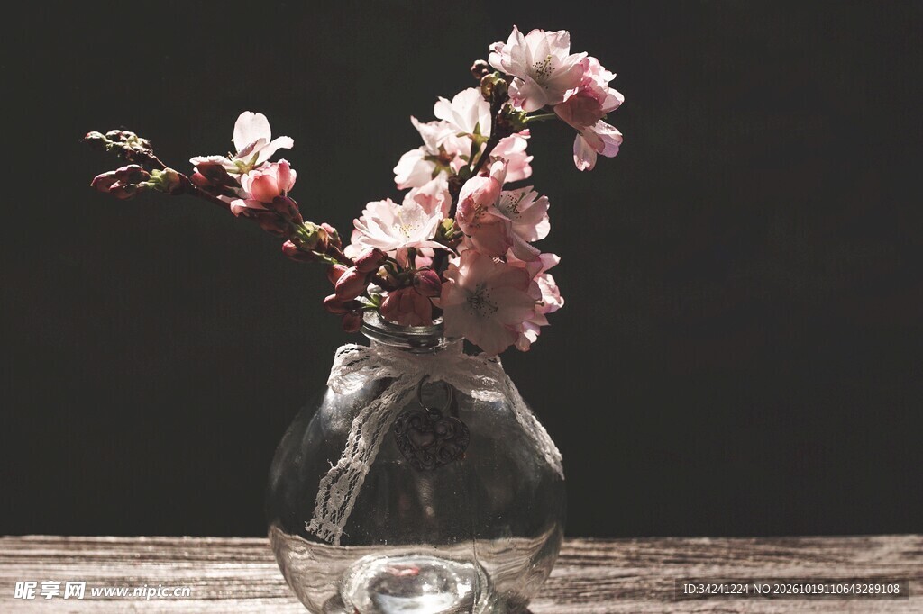暗调花瓶粉樱花静物