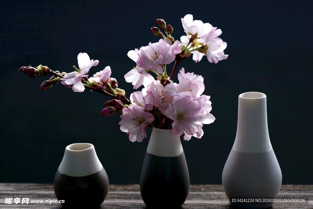 暗调樱花瓶插静物