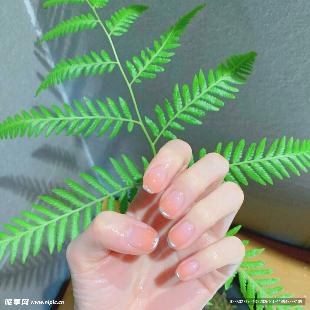手与翠绿蕨叶特写