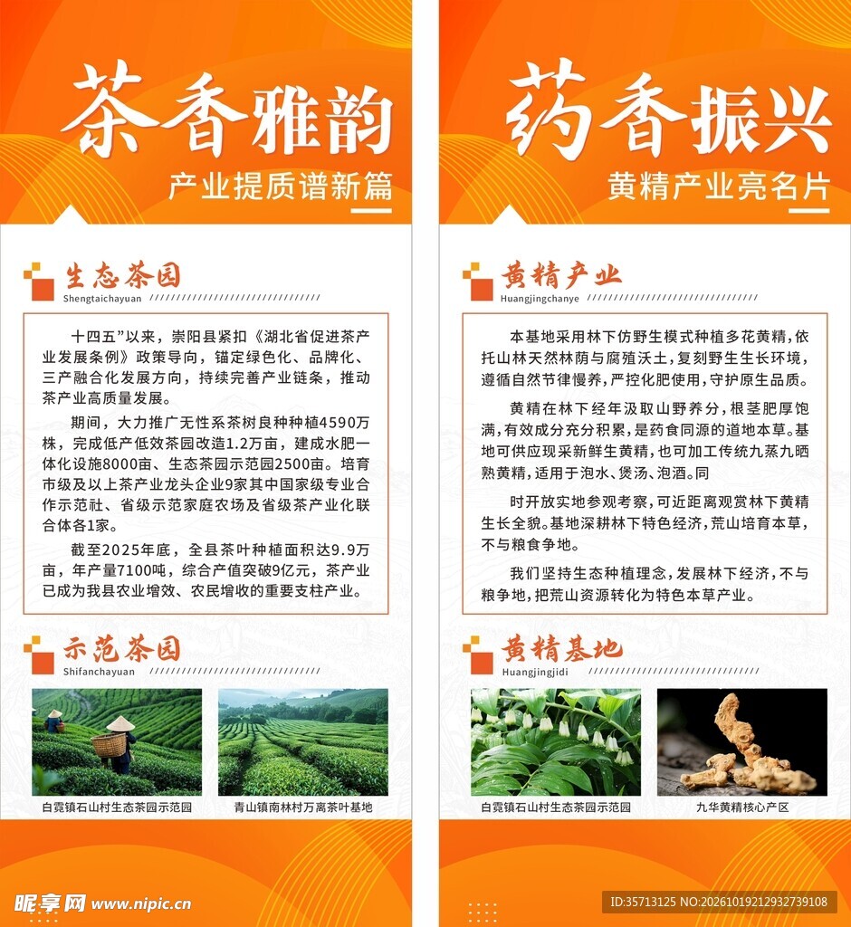 茶药产业发展宣传展架海报设计
