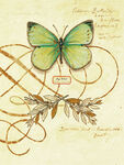 复古手绘绿蝴蝶装饰插画