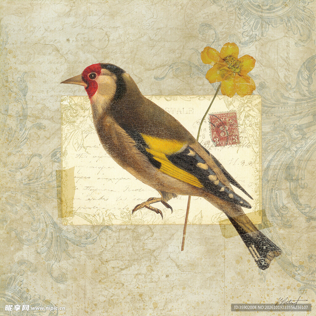 复古金翅雀手绘插画