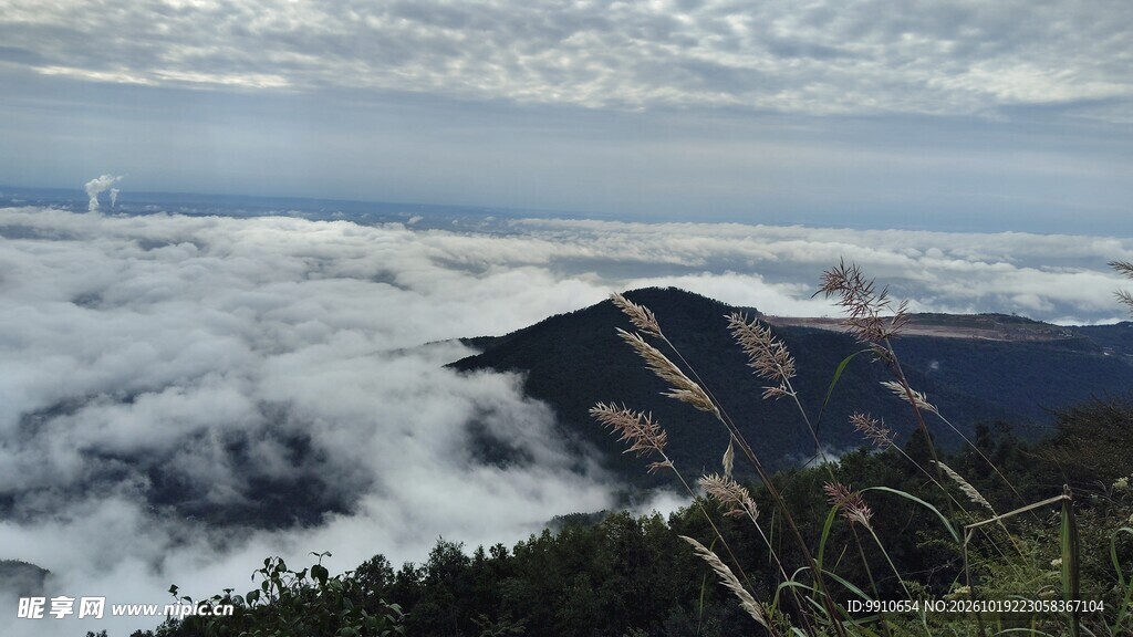 山巅云海风光