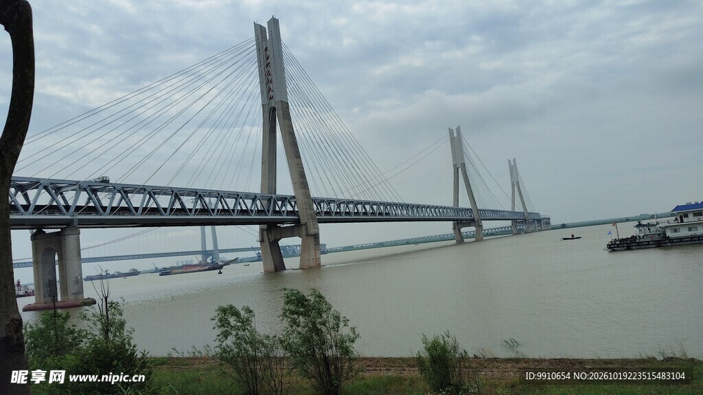 跨江斜拉大桥江景