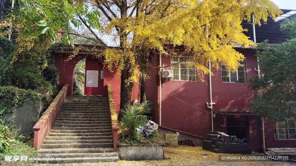 郊野秋日红屋小景