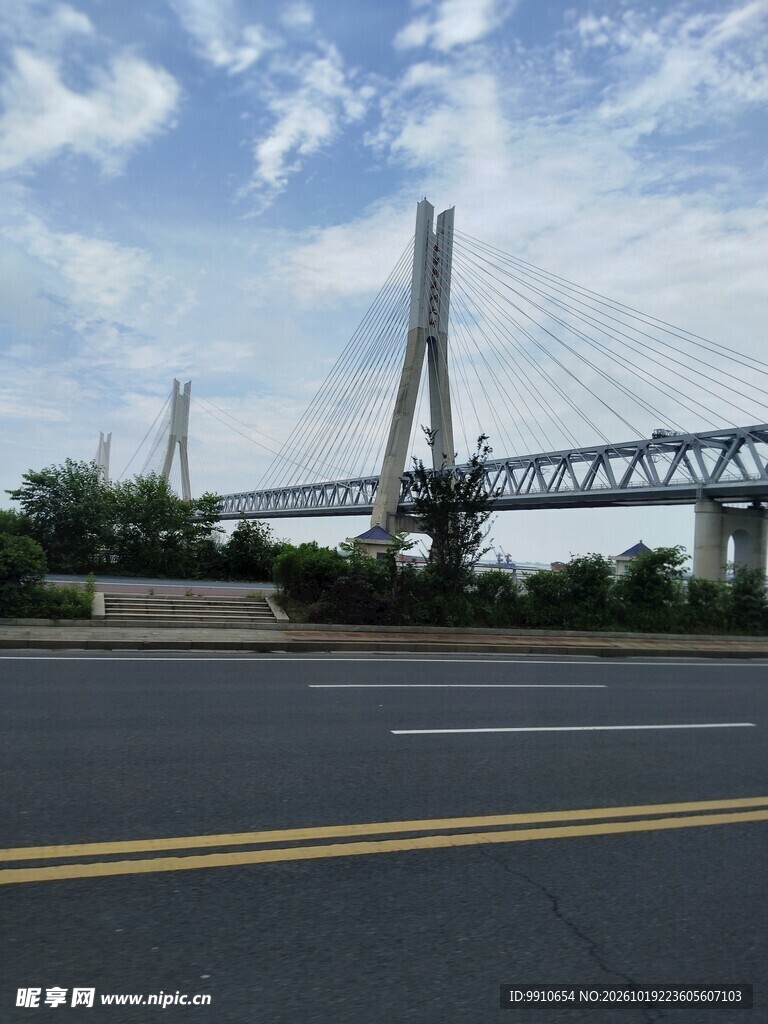 公路旁的斜拉大桥