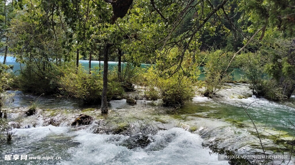 林间溪流自然风光