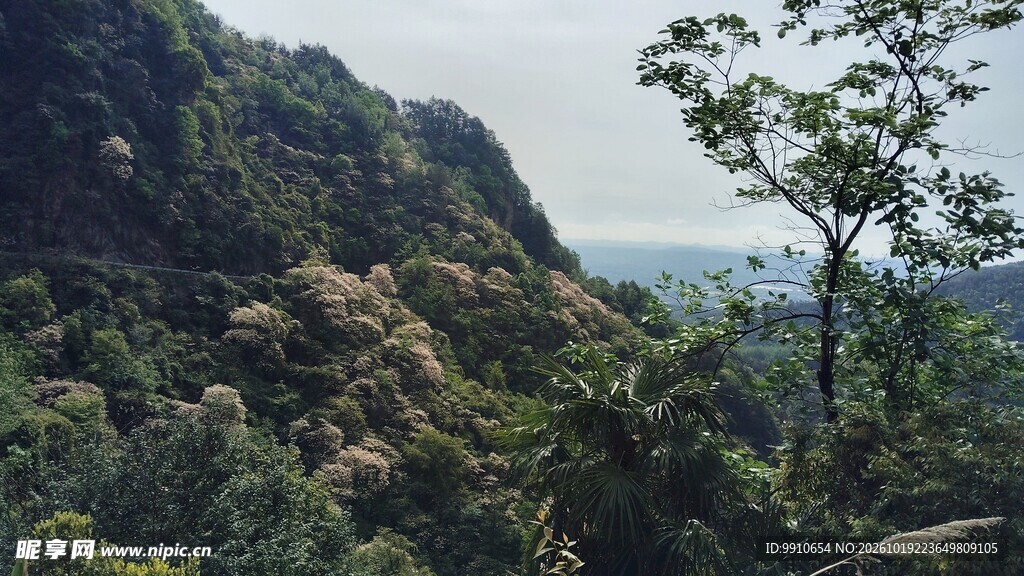 山间郊野自然风景