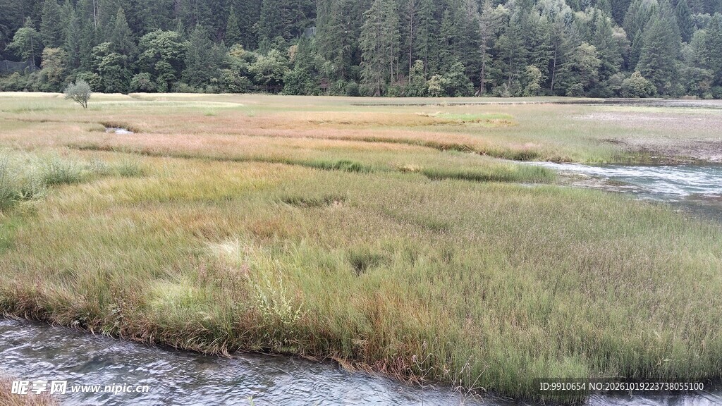 郊野湿地草甸风光
