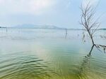 静湖淡远风光