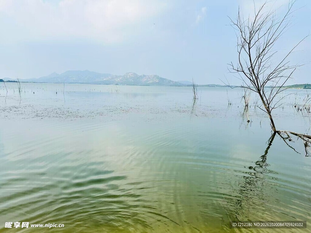 静湖淡远风光
