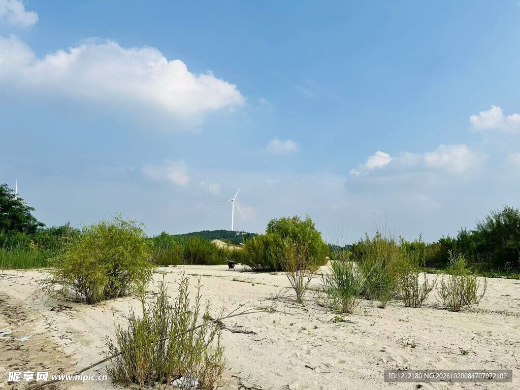 郊野沙地晴日自然风光