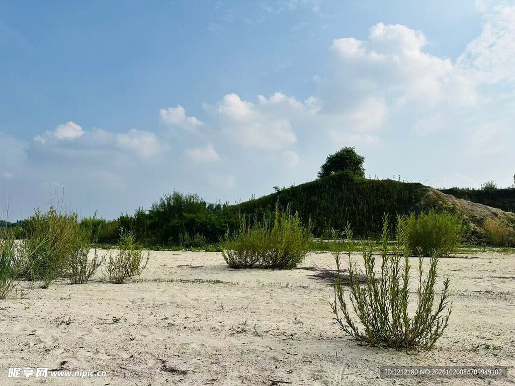 沙地旷野自然风光