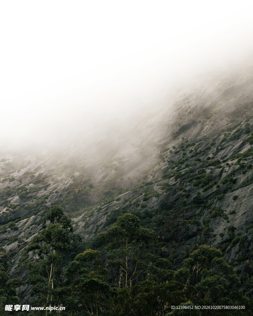 雾绕山林