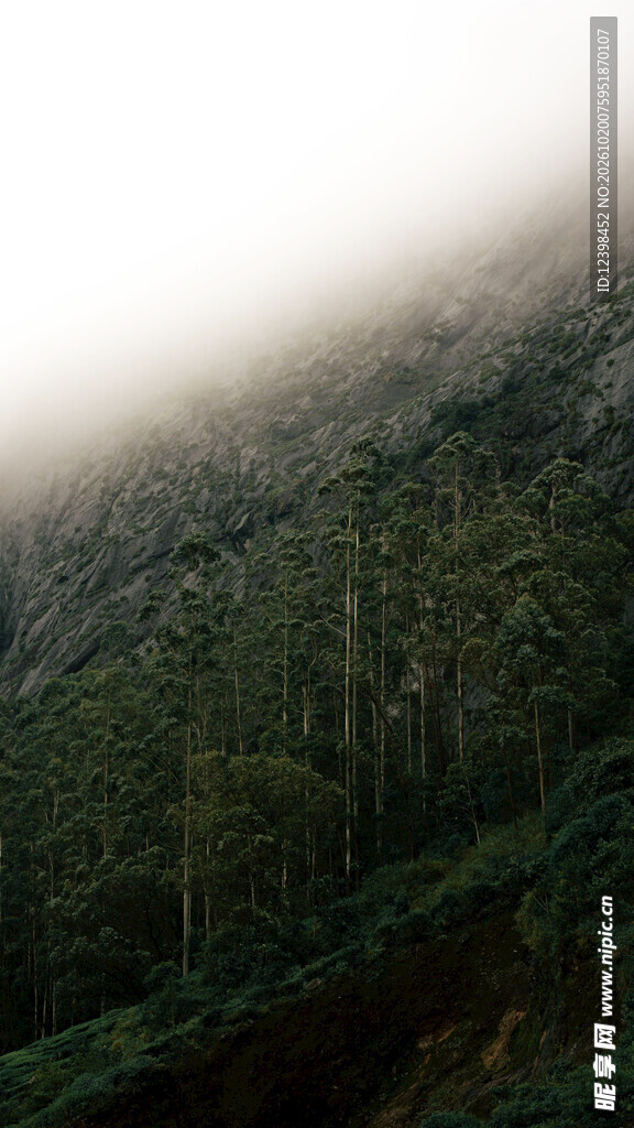 雾绕山林