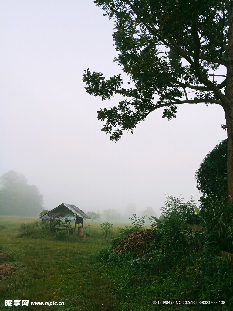 雾中小屋