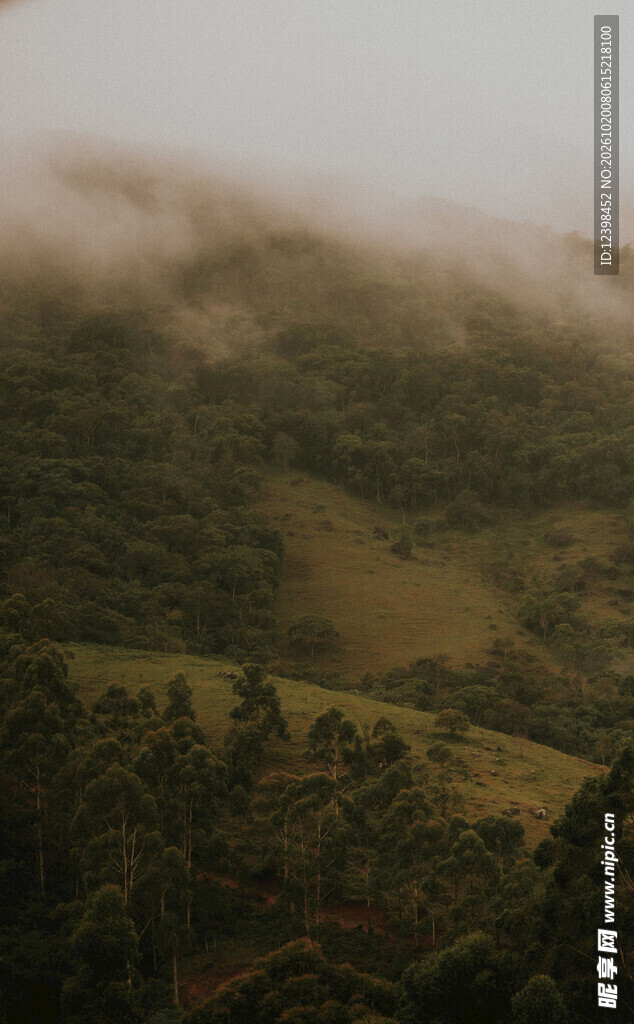 山间雾绕