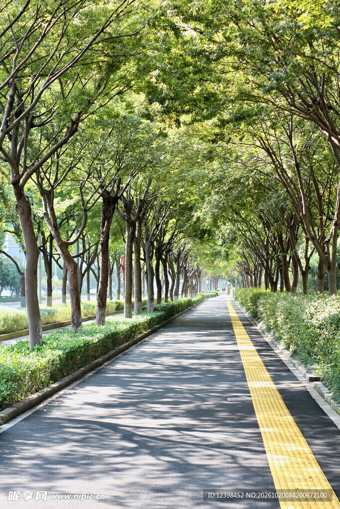 林荫公路