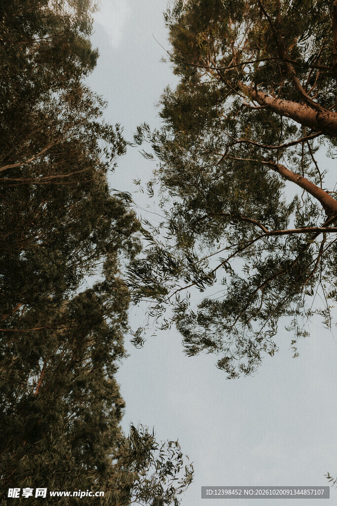 仰拍天空
