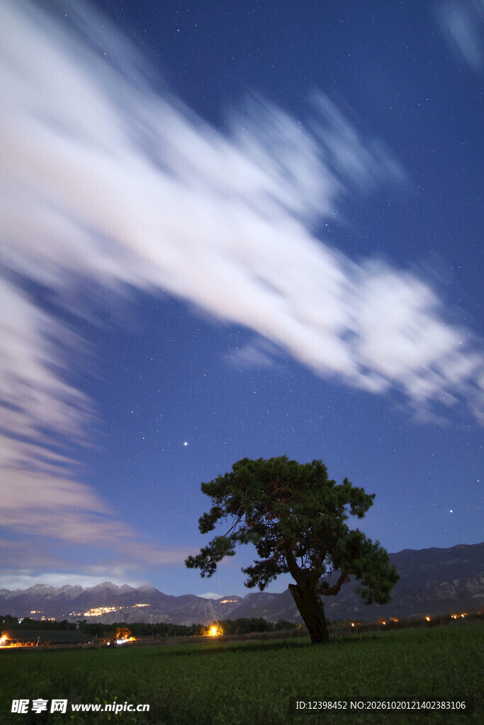 晴空孤树