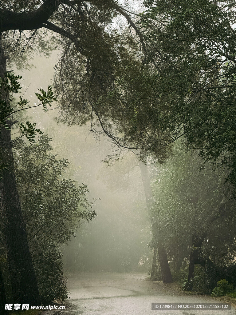 林间小路