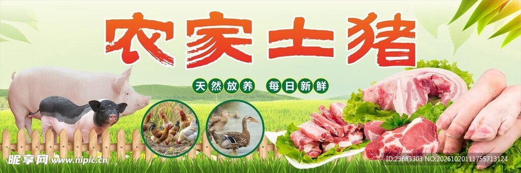 农家土猪肉美食海报