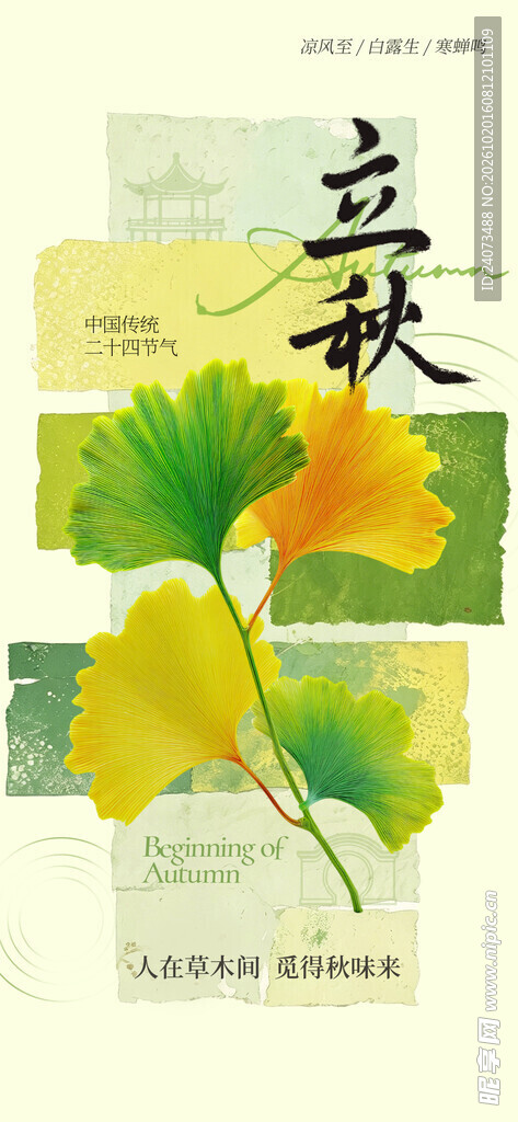 立秋节气银杏水彩插画