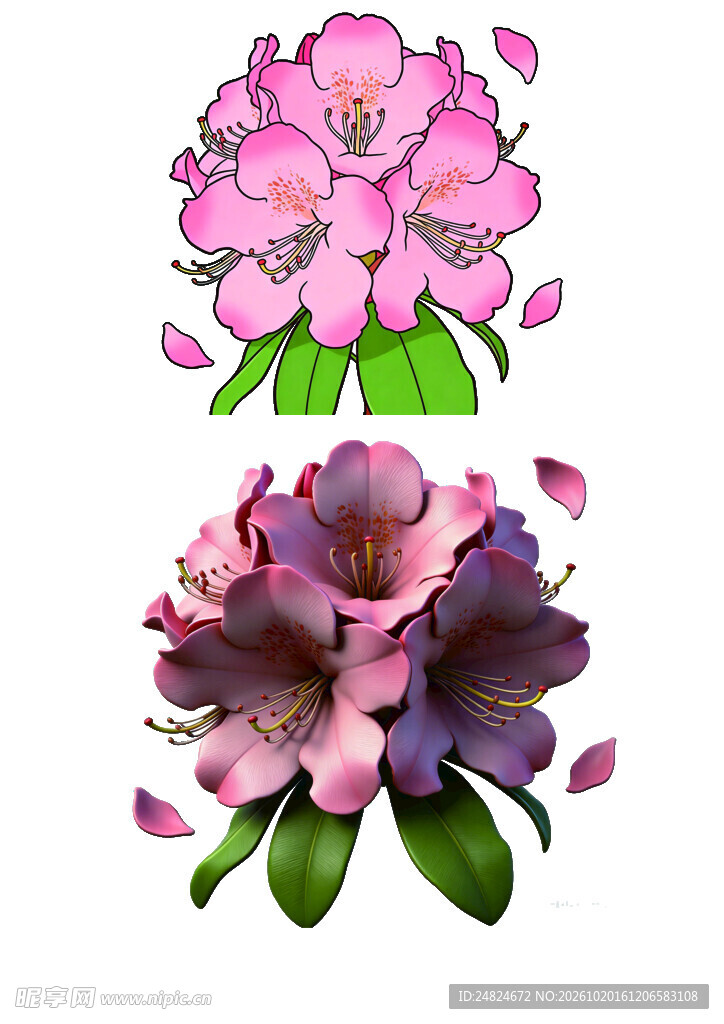 手绘 杜鹃花 立体杜鹃花 粉色