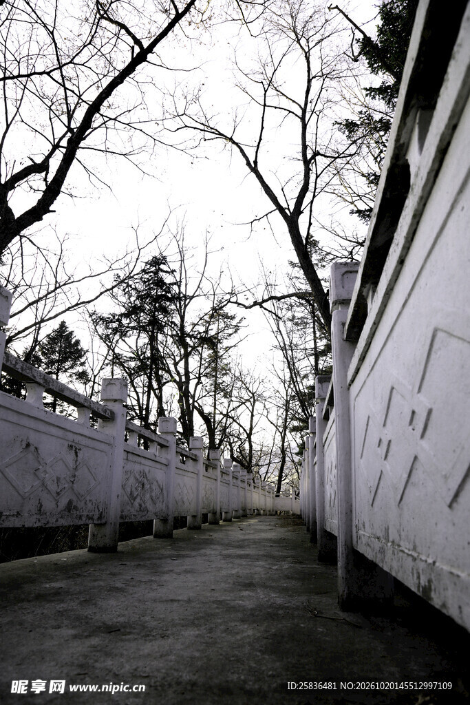 光阴