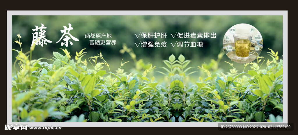 藤茶 莓茶