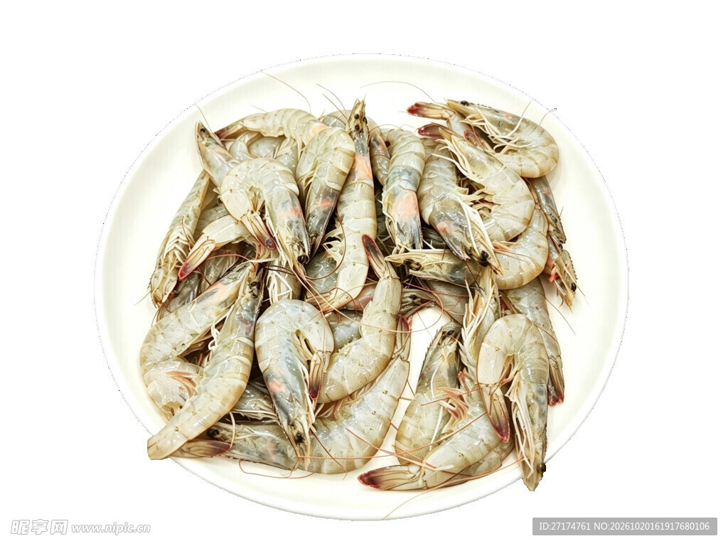 盘中小白虾