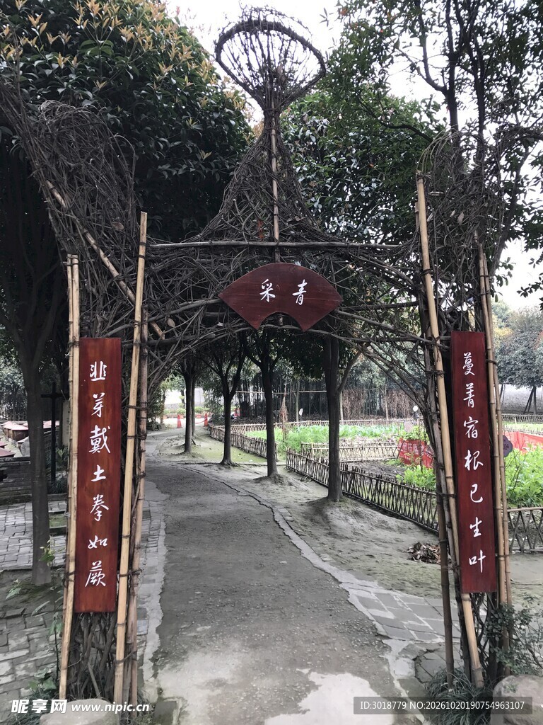 中式园林林荫步道