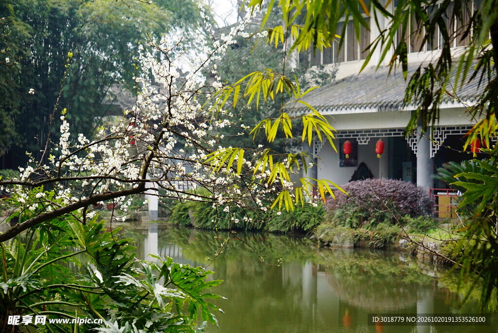 春日园林水畔亭台美景