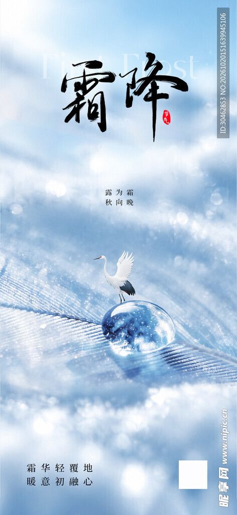 霜降节气主题海报