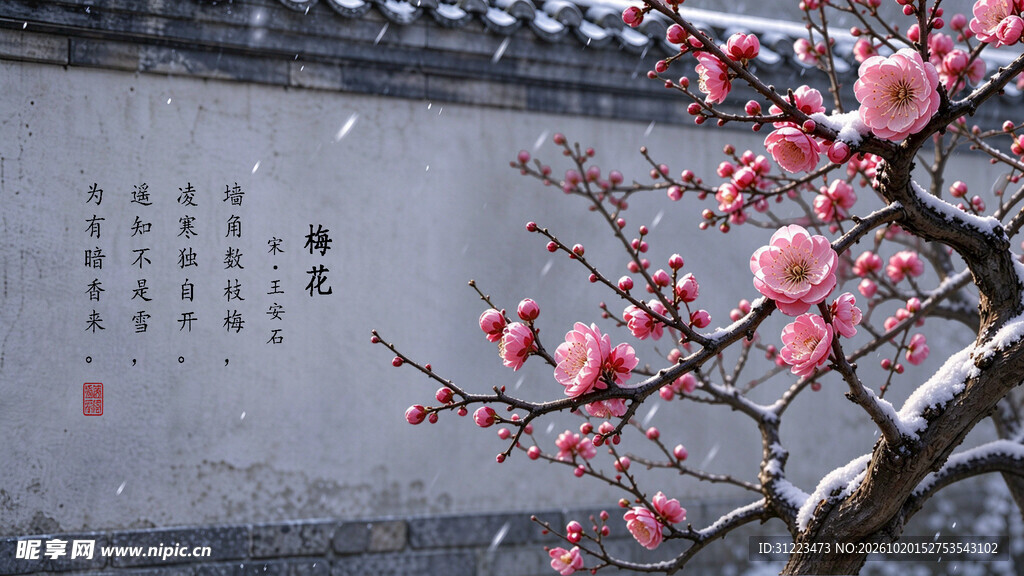 雪映古墙粉梅PSD分层参考