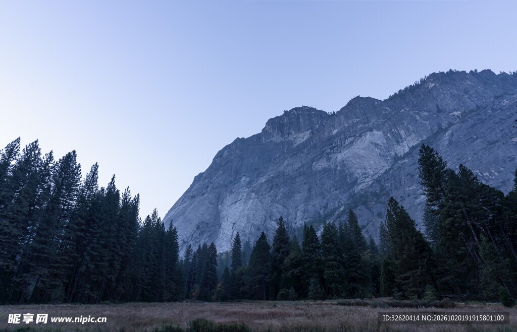 远山森林自然风景