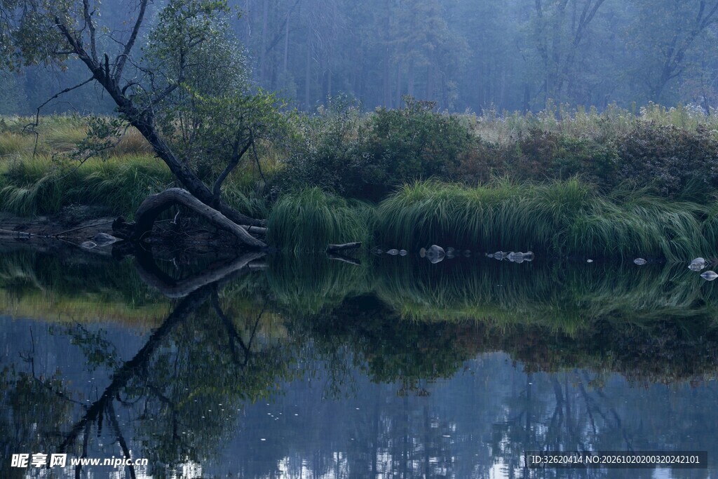 郊野朦胧湖岸水景风光