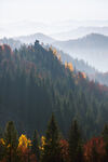 秋日层峦山林风光