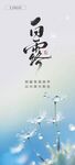 白露节气清新海报