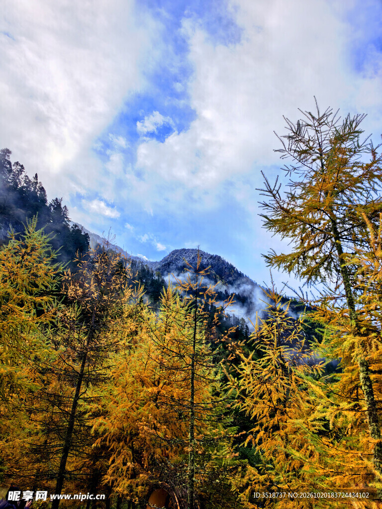 高原秋景