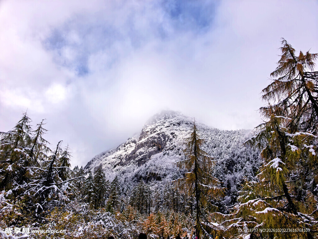 高原雪景