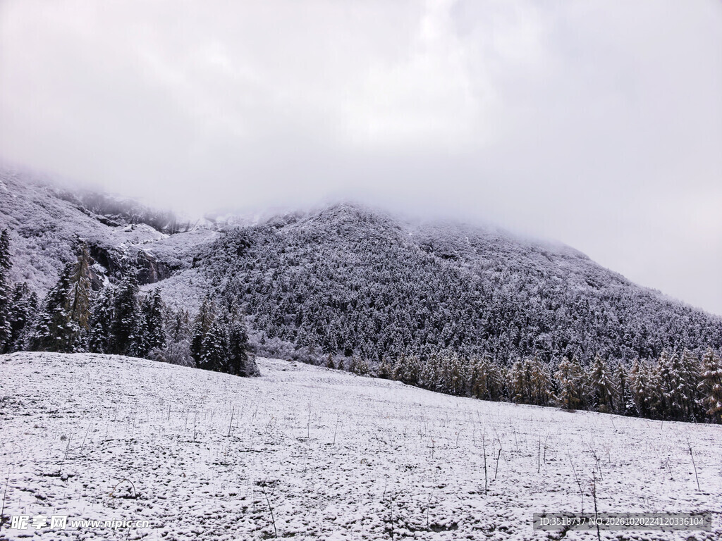 雪景