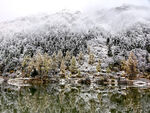 湖边雪景