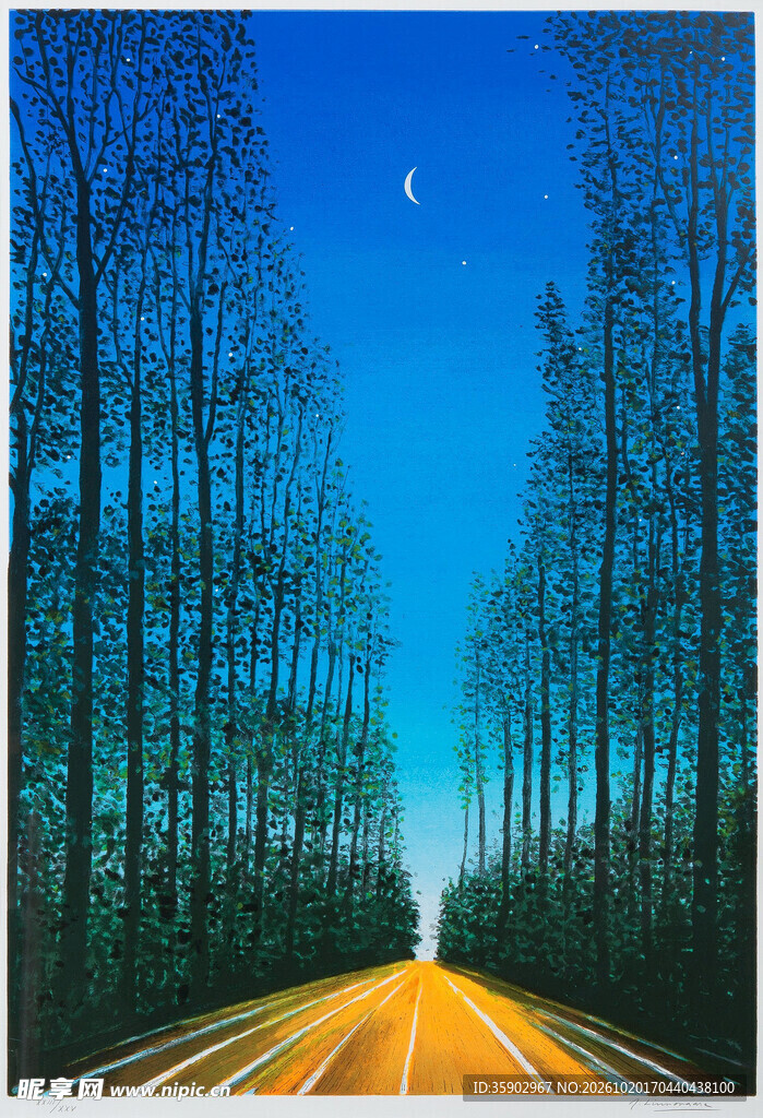 月夜林间公路插画