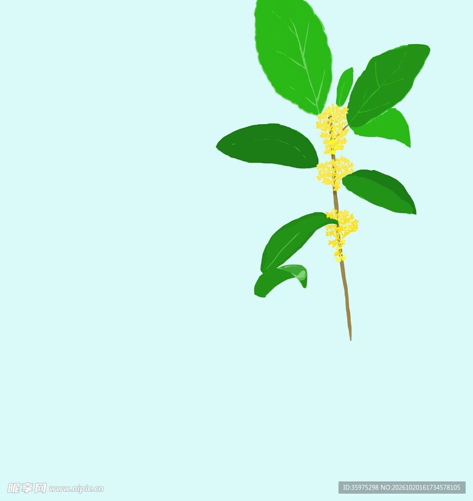 桂花免扣元素