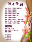 翘丰臀部养生科普