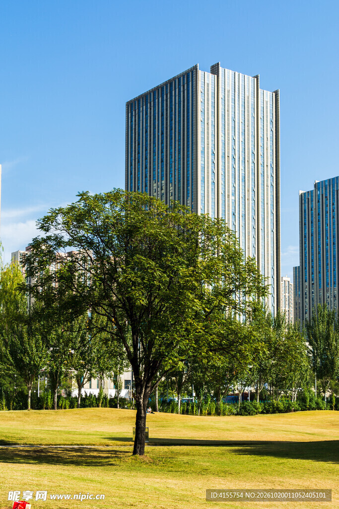 城市绿地高楼景观